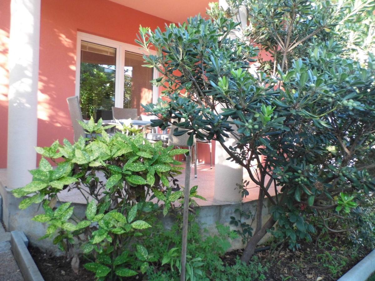Leon Apartment *